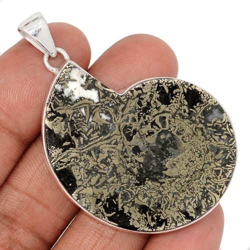 17g fossil quenstedtoceras - 17g,