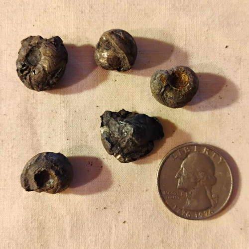 10x iron pyrite pyritized - 10x,
