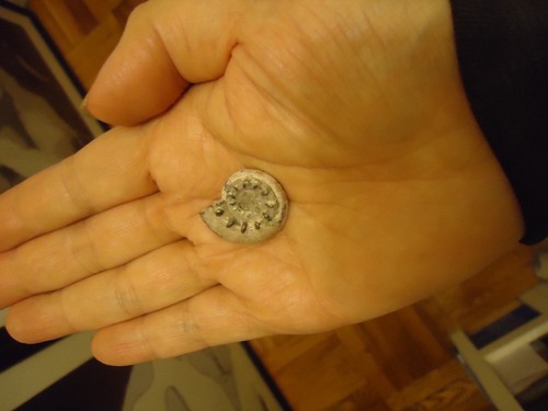 500 million year - 500,