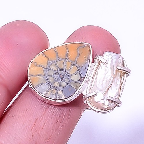 Pyrite ammonite fossil - ammonite,