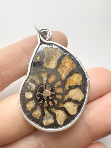 Natural ammonite slice - natural,