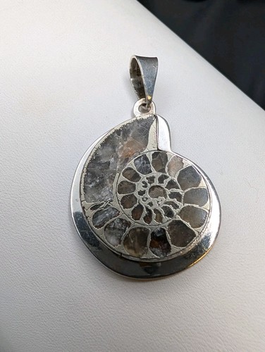 Pyrite ammonite cephalopod - pyrite,
