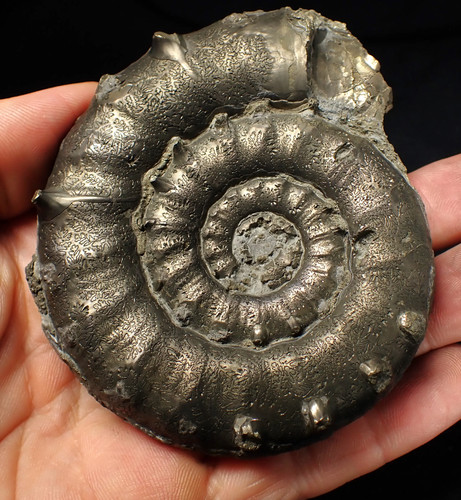 Huge chunky pyrite