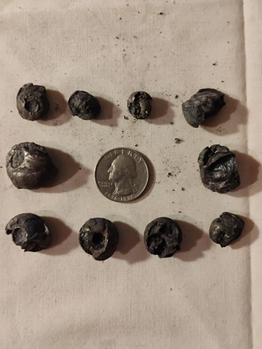 10x iron pyrite pyritized - 10x,