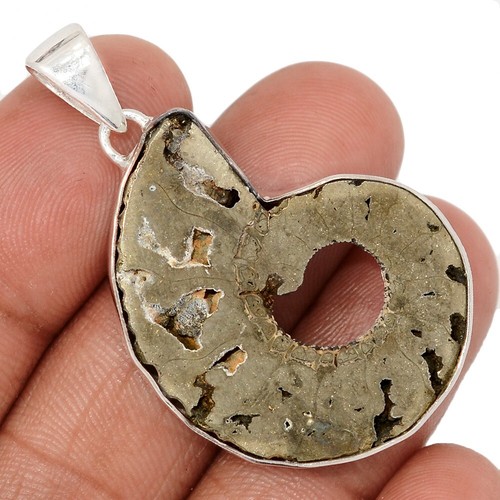 Fossil quenstedtoceras pyrite - fossil,